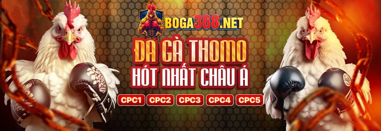 Giao diện cá cược trực tiếp với tỷ lệ cược thay đổi