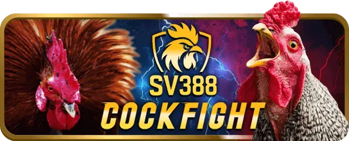 Bài Cào 3 Lá