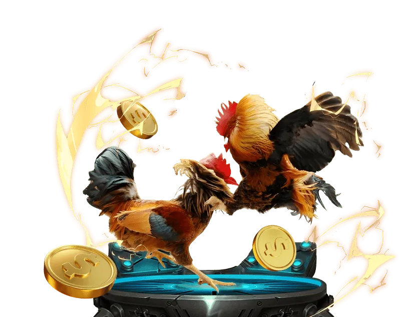 Lợi ích khi chơi đá gà tại win8bet